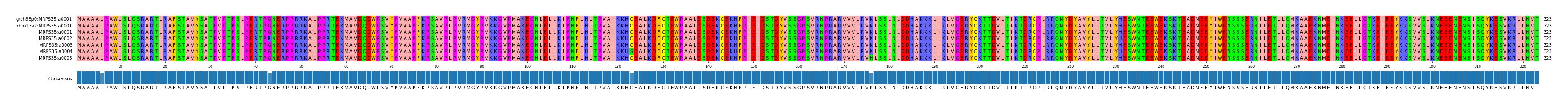 Multiple Alignments (by translate haplotype frequency)