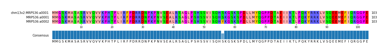 Multiple Alignments (by translate haplotype similarity)