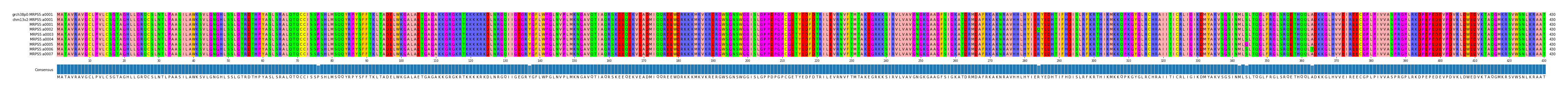 Multiple Alignments (by translate haplotype frequency)