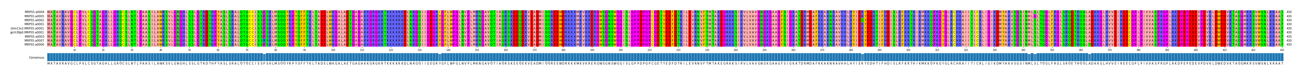 Multiple Alignments (by translate haplotype similarity)