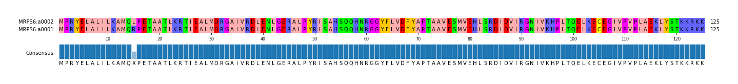Multiple Alignments (by translate haplotype similarity)