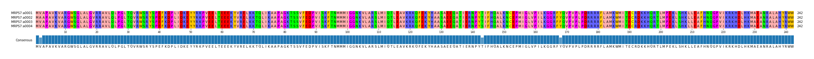 Multiple Alignments (by translate haplotype frequency)