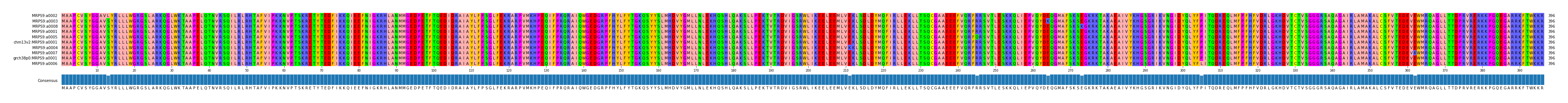 Multiple Alignments (by translate haplotype similarity)