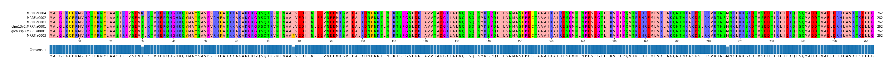 Multiple Alignments (by translate haplotype similarity)