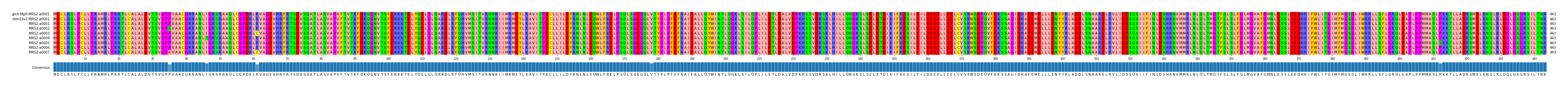 Multiple Alignments (by translate haplotype frequency)