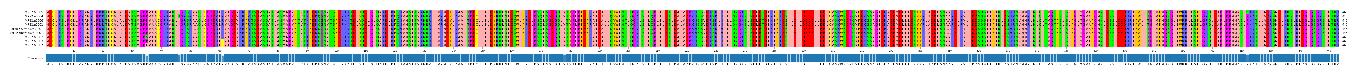 Multiple Alignments (by translate haplotype similarity)