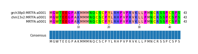 Multiple Alignments (by translate haplotype similarity)