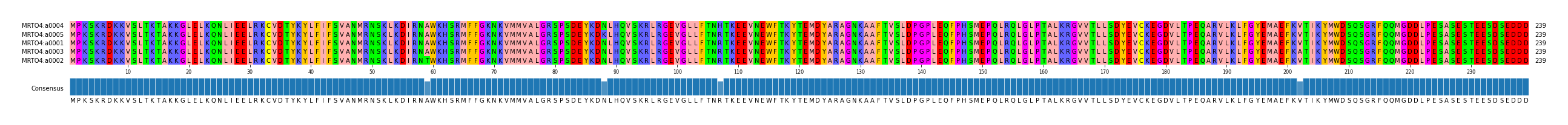 Multiple Alignments (by translate haplotype similarity)