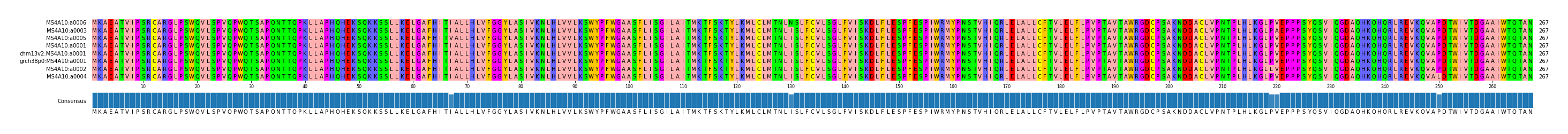 Multiple Alignments (by translate haplotype similarity)