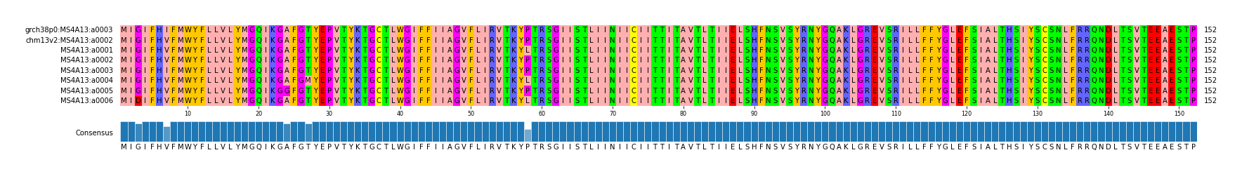 Multiple Alignments (by translate haplotype frequency)