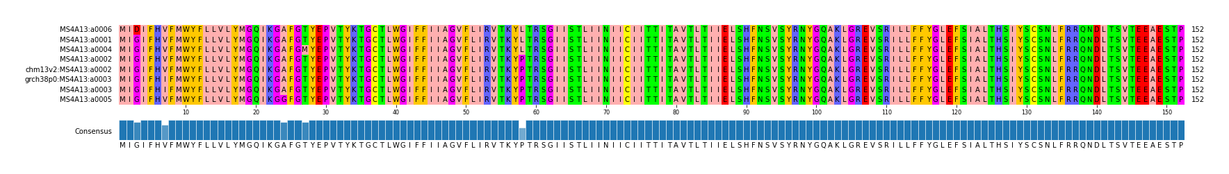Multiple Alignments (by translate haplotype similarity)