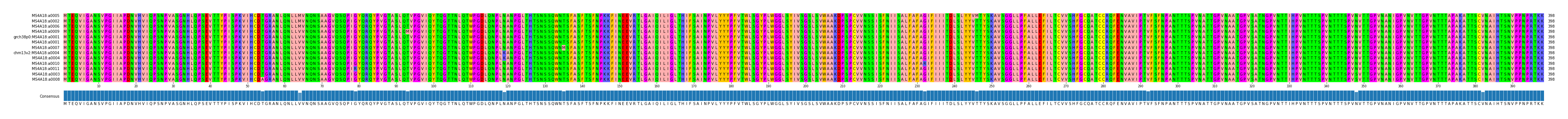 Multiple Alignments (by translate haplotype similarity)