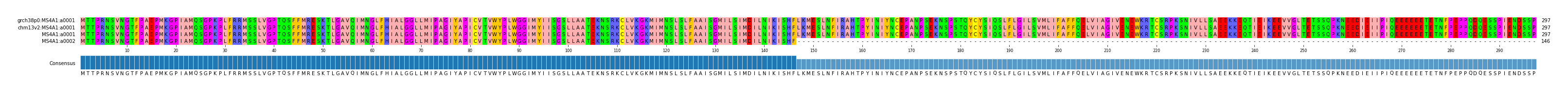 Multiple Alignments (by translate haplotype similarity)