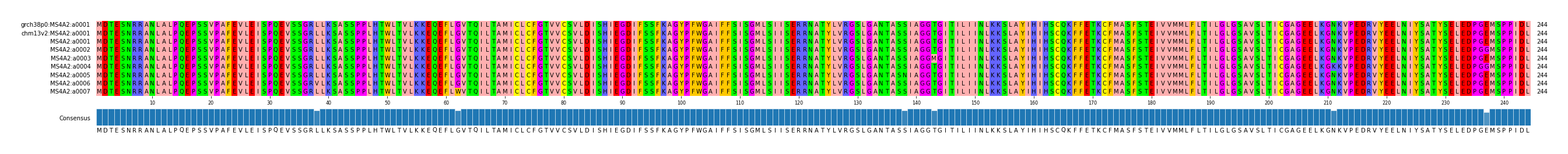 Multiple Alignments (by translate haplotype frequency)