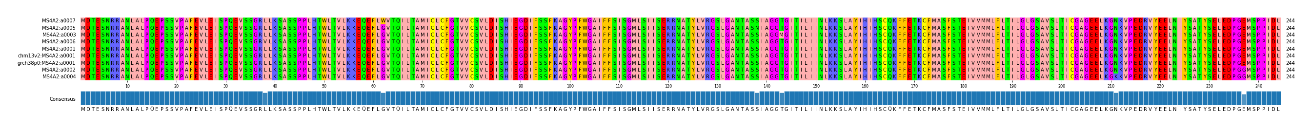 Multiple Alignments (by translate haplotype similarity)
