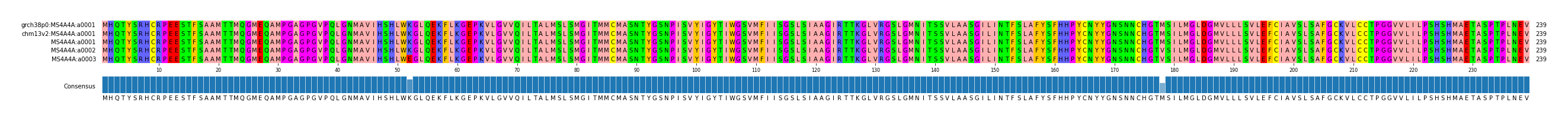 Multiple Alignments (by translate haplotype similarity)
