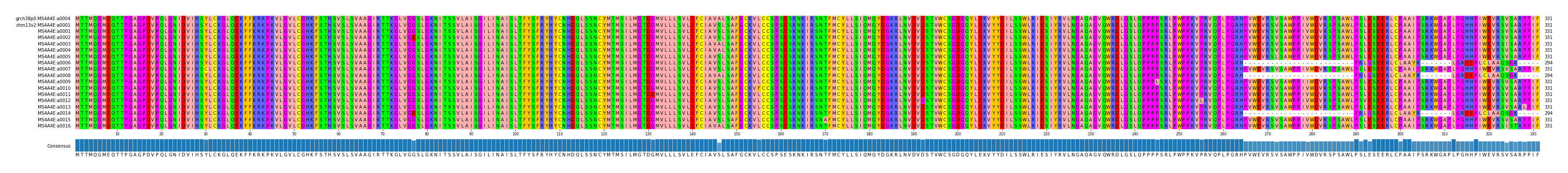 Multiple Alignments (by translate haplotype frequency)