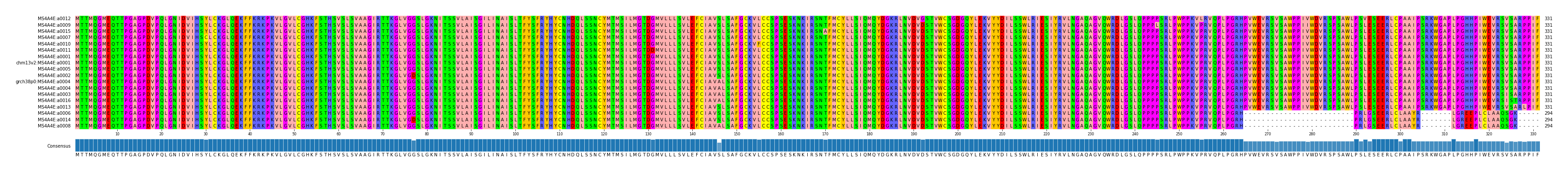 Multiple Alignments (by translate haplotype similarity)