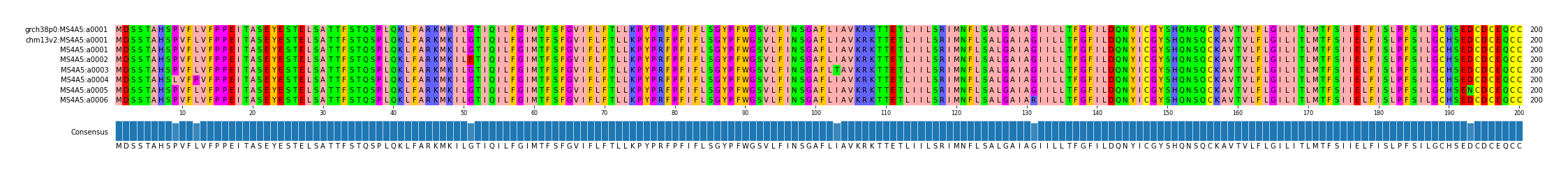 Multiple Alignments (by translate haplotype frequency)