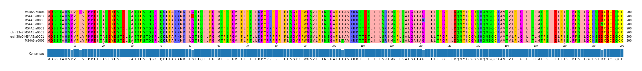 Multiple Alignments (by translate haplotype similarity)