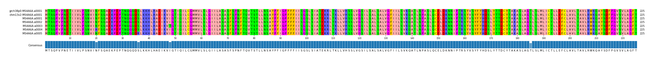 Multiple Alignments (by translate haplotype frequency)