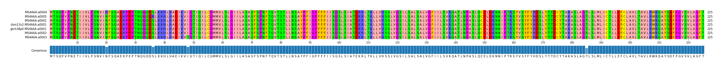 Multiple Alignments (by translate haplotype similarity)