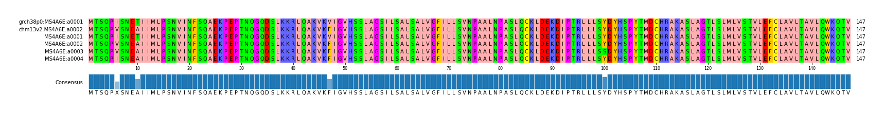 Multiple Alignments (by translate haplotype frequency)