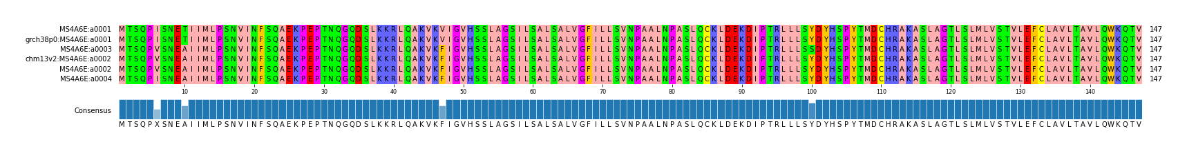 Multiple Alignments (by translate haplotype similarity)