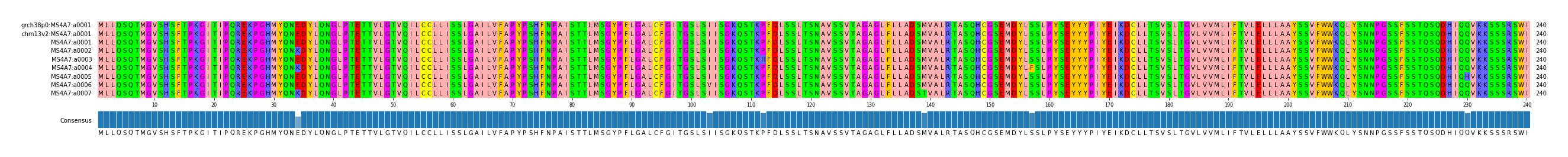 Multiple Alignments (by translate haplotype frequency)
