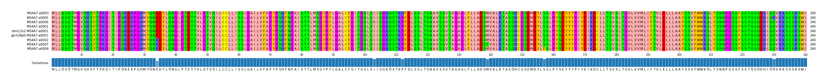 Multiple Alignments (by translate haplotype similarity)