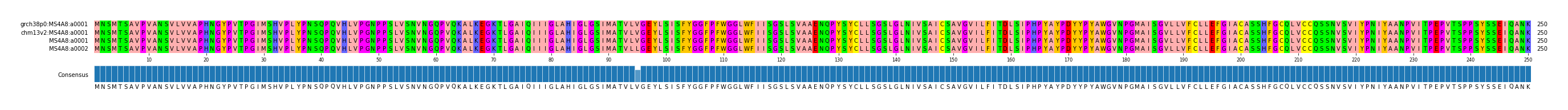 Multiple Alignments (by translate haplotype similarity)