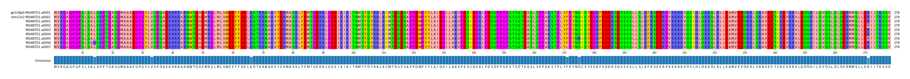 Multiple Alignments (by translate haplotype frequency)
