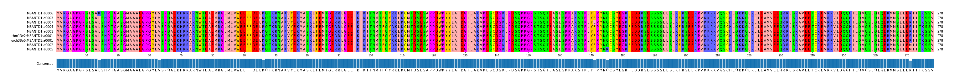Multiple Alignments (by translate haplotype similarity)