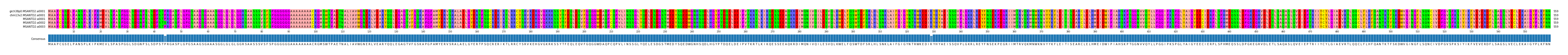 Multiple Alignments (by translate haplotype frequency)