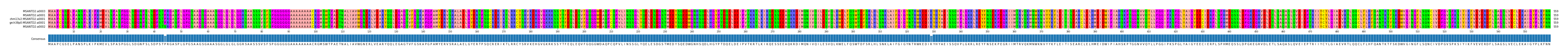 Multiple Alignments (by translate haplotype similarity)