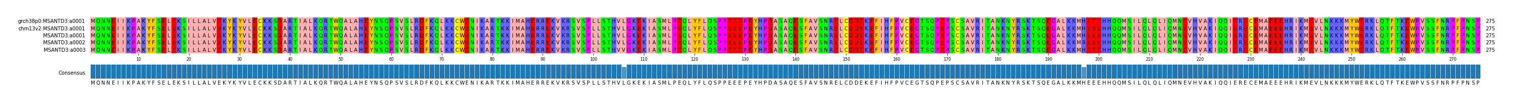 Multiple Alignments (by translate haplotype frequency)