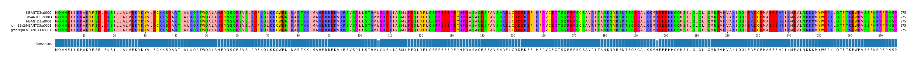 Multiple Alignments (by translate haplotype similarity)