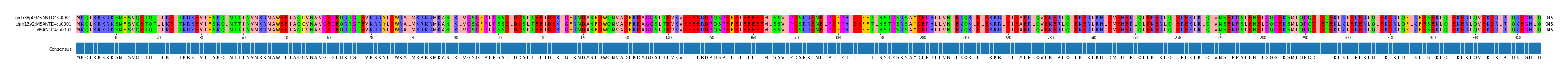 Multiple Alignments (by translate haplotype similarity)