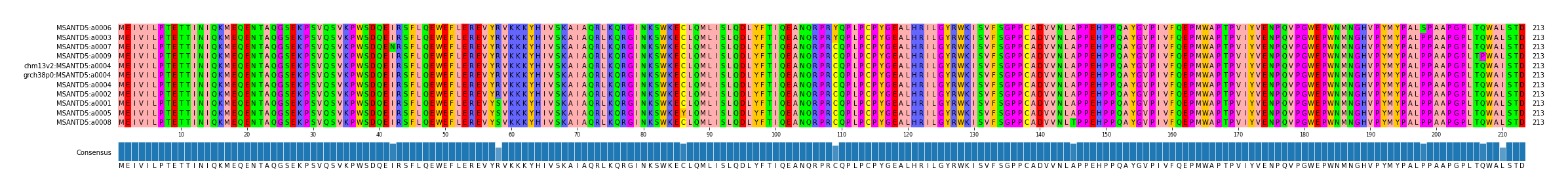 Multiple Alignments (by translate haplotype similarity)