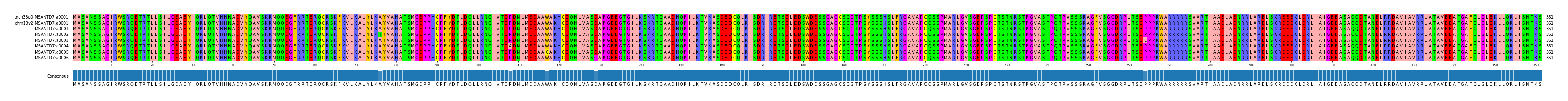 Multiple Alignments (by translate haplotype frequency)