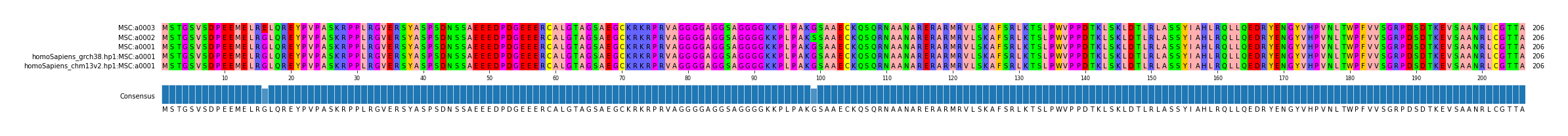 Multiple Alignments (by translate haplotype similarity)