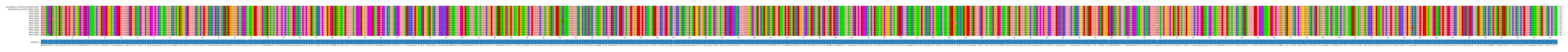 Multiple Alignments (by translate haplotype frequency)