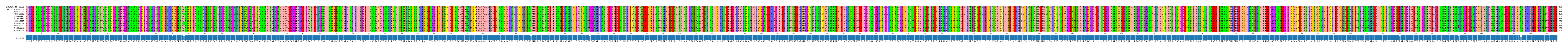 Multiple Alignments (by translate haplotype frequency)