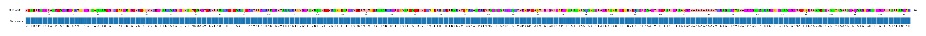 Multiple Alignments (by translate haplotype similarity)