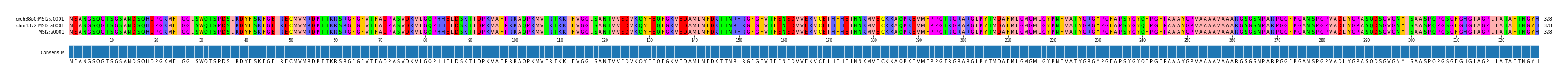 Multiple Alignments (by translate haplotype similarity)