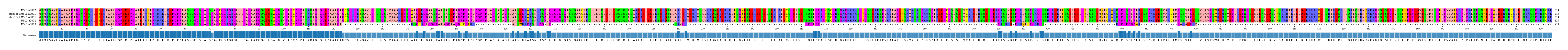 Multiple Alignments (by translate haplotype similarity)