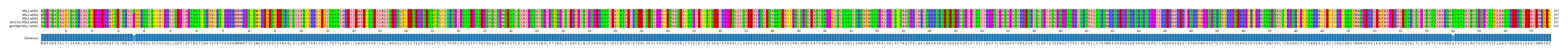 Multiple Alignments (by translate haplotype similarity)