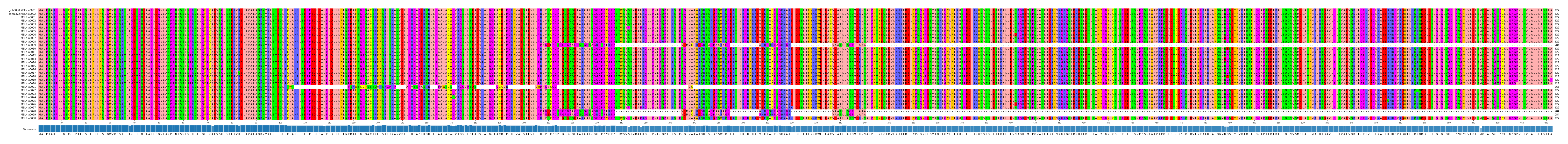 Multiple Alignments (by translate haplotype frequency)