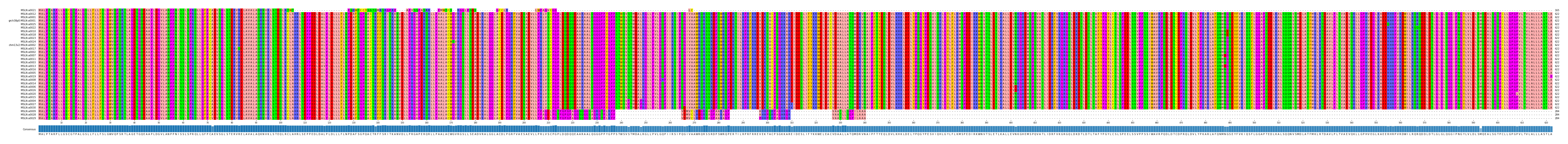 Multiple Alignments (by translate haplotype similarity)
