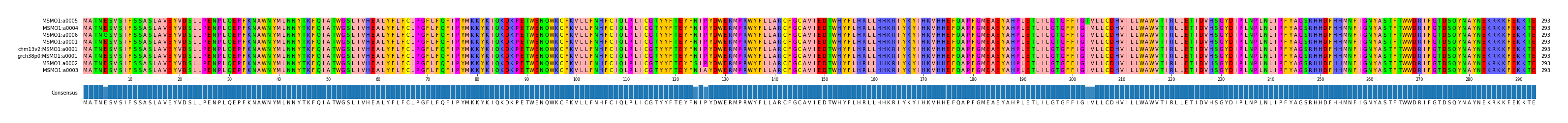 Multiple Alignments (by translate haplotype similarity)